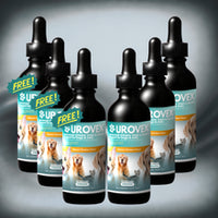 Buy 3 + Get 3 FREE