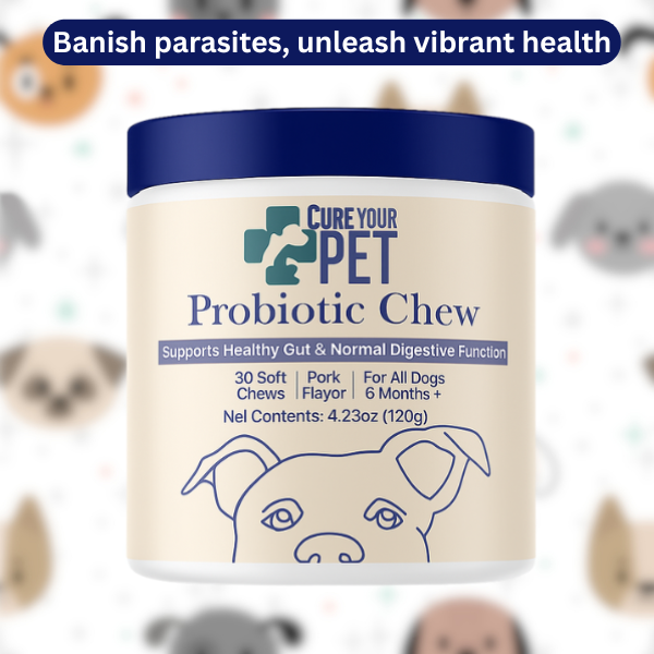 Probiotic Chews