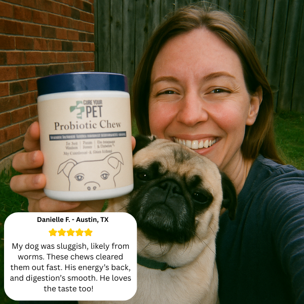 Probiotic Chews
