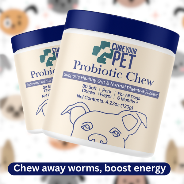 Probiotic Chews