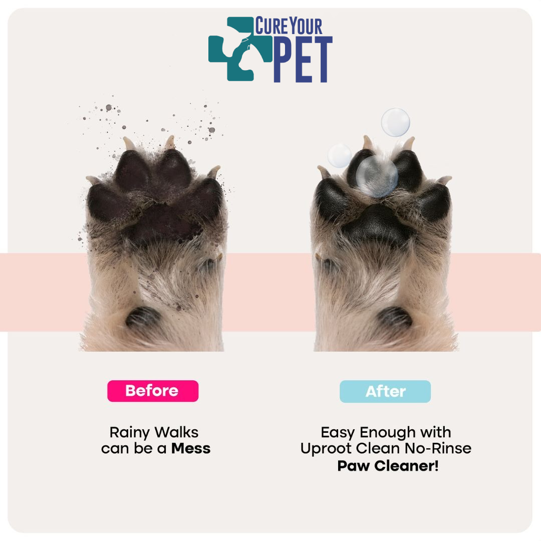 Cure Your Pet Paw Cleaner