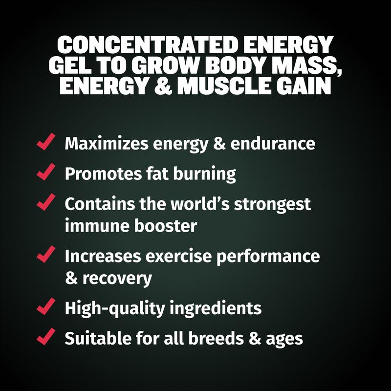 PowerPup 3-in-1 Muscle Builder