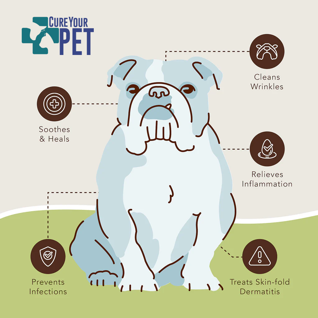 Cure Your Pet Dog Anti-Ager
