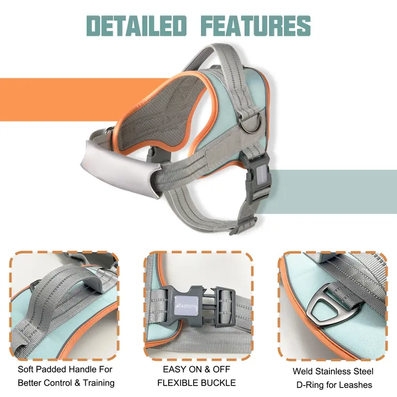 LifeGuard No-Pull Dog Harness
