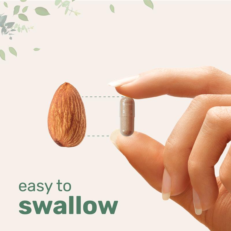 Fatty Liver Detox