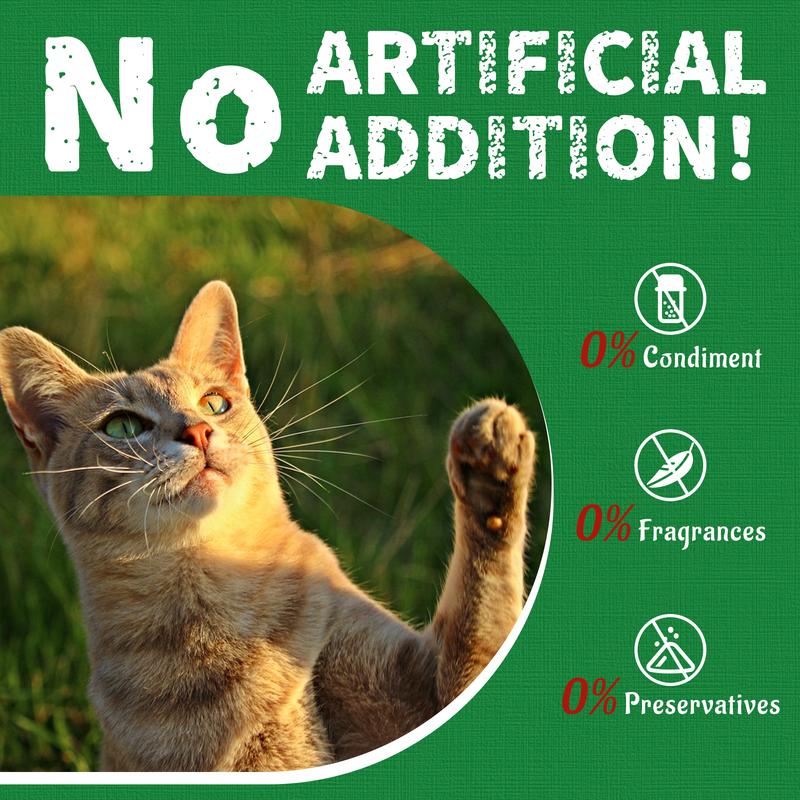 Feline Grass Treats