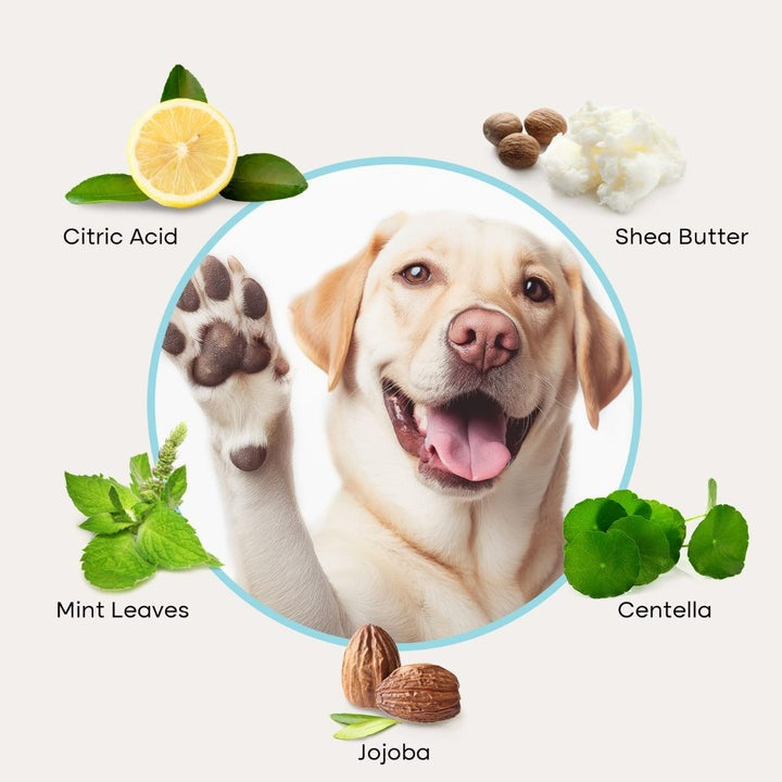 Cure Your Pet Paw Cleaner