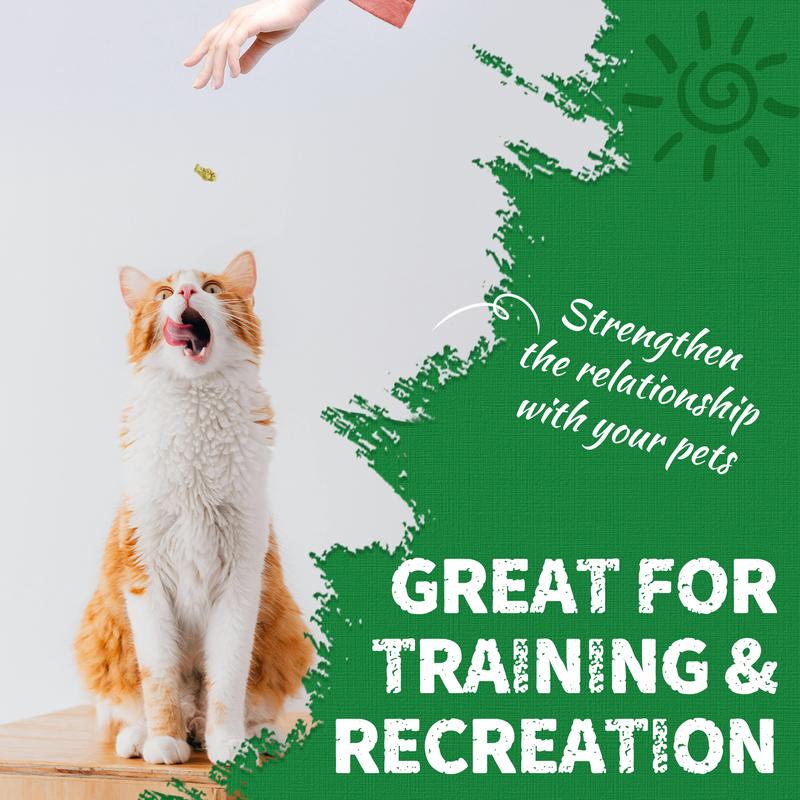Feline Grass Treats