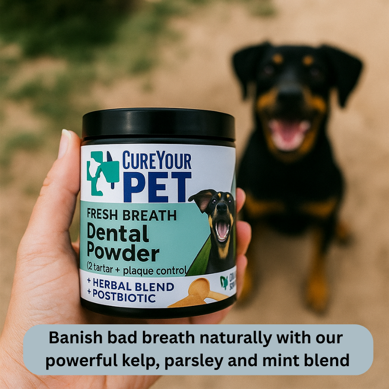 Fresh Breath Dental Powder