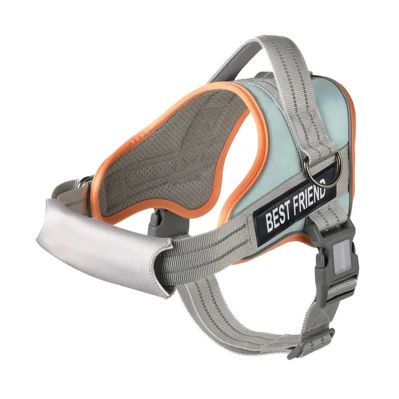 LifeGuard No-Pull Dog Harness