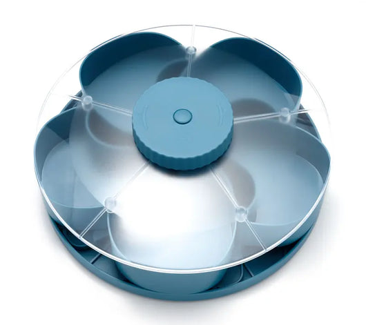 Divided Spin and Snack Serving Tray