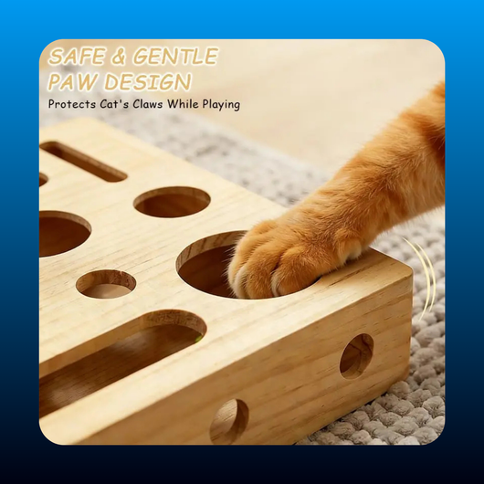 Cat Nail File Scratch Box Toy