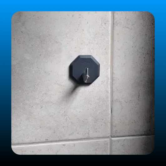 Antimicrobial Shower Hook