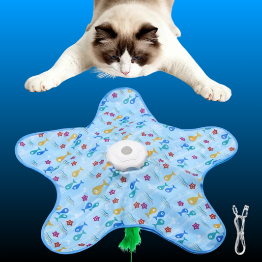 Multi-Function Star-Shaped Interactive Cat Toy