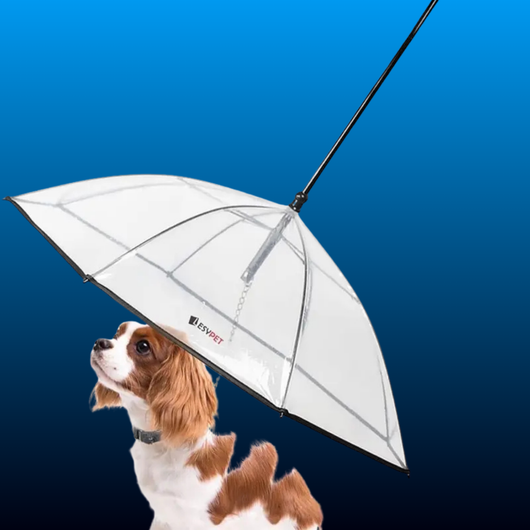 Pet Umbrella with Built-In Leash