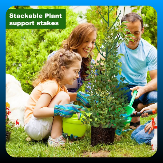 6 Pack Stackable Plant Support Branches