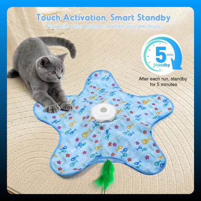 Multi-Function Star-Shaped Interactive Cat Toy