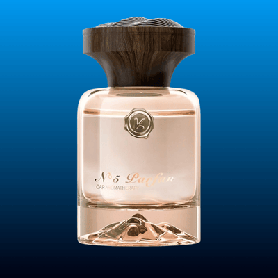 Luxury Car Fragrance Diffuser