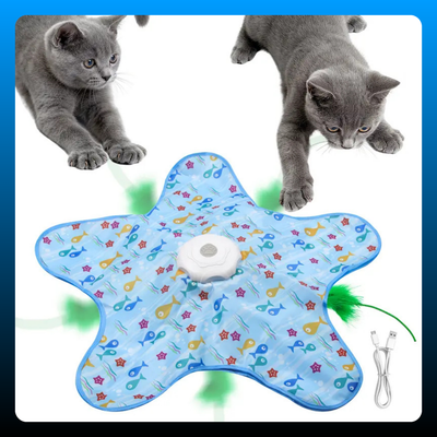 Multi-Function Star-Shaped Interactive Cat Toy