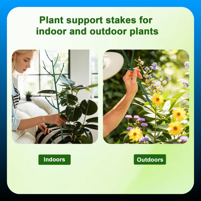 6 Pack Stackable Plant Support Branches