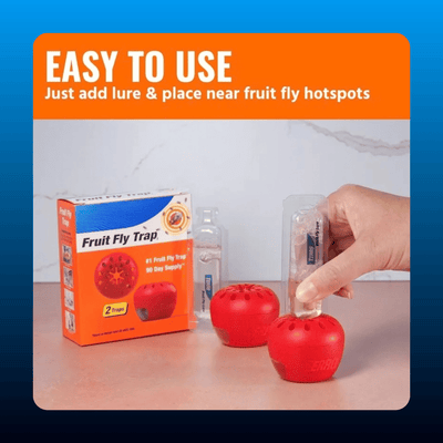 Fruit Fly Traps with 90-Day Lure Supply
