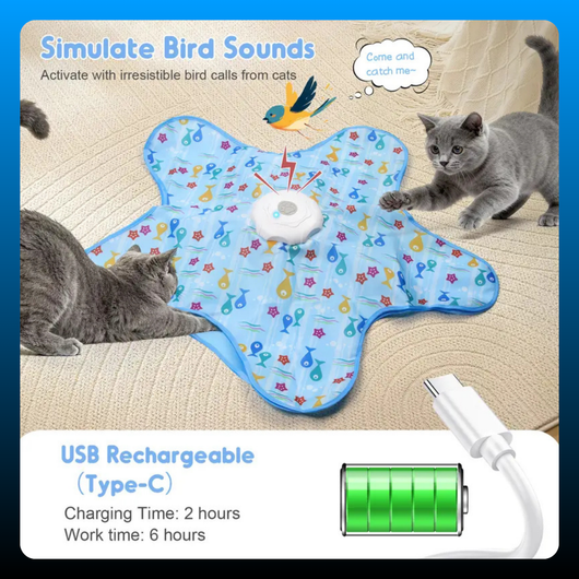 Multi-Function Star-Shaped Interactive Cat Toy