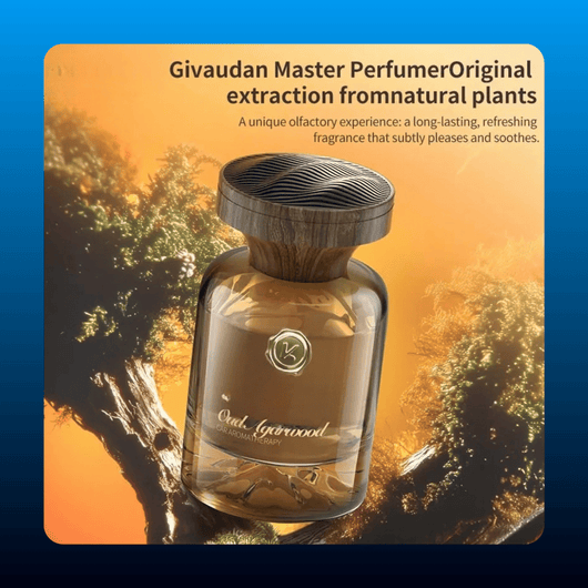 Luxury Car Fragrance Diffuser