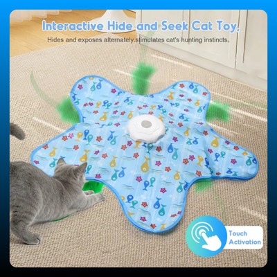 Multi-Function Star-Shaped Interactive Cat Toy