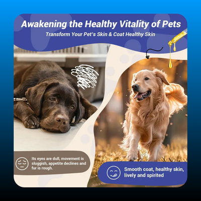 Dog Ear & Skin Relief Drops