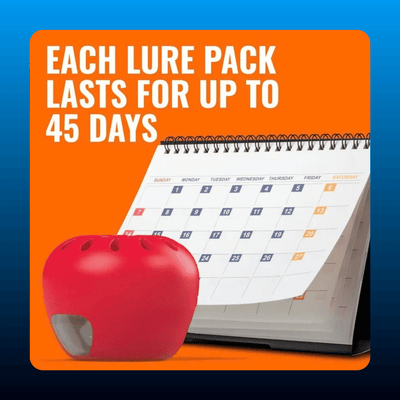Fruit Fly Traps with 90-Day Lure Supply