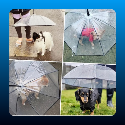 Pet Umbrella with Built-In Leash