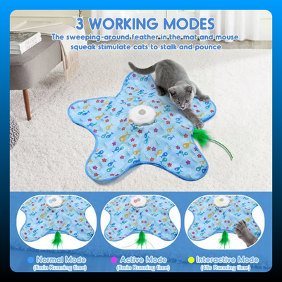 Multi-Function Star-Shaped Interactive Cat Toy