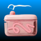 Travel-Sized Dental Floss Storage Case