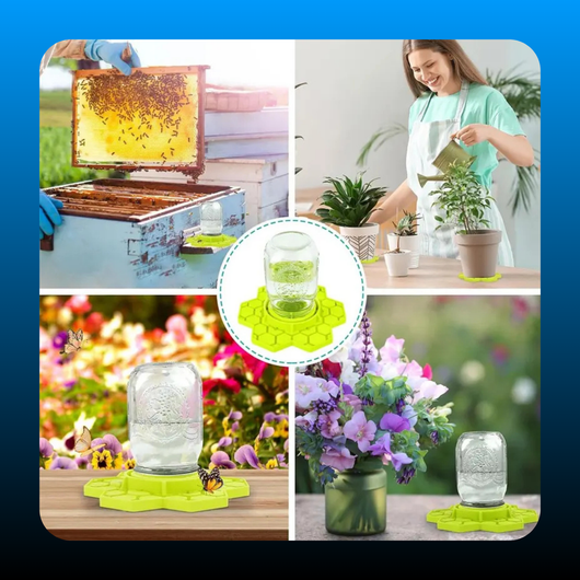 Bee Feeder Silicone Sugar Water Station