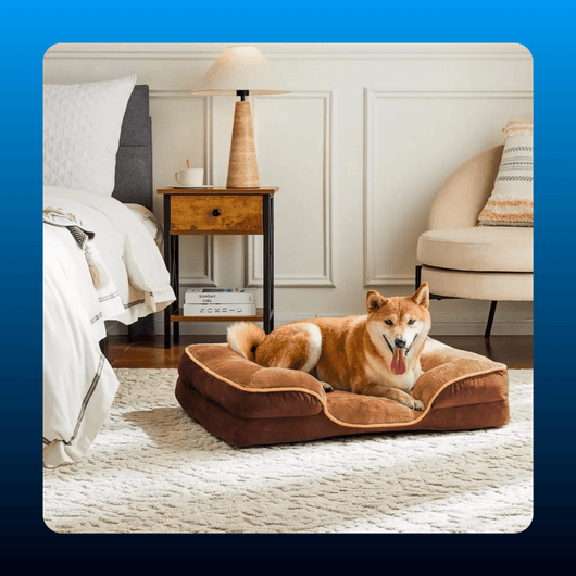 Orthopedic Bolster Dog Bed, Waterproof