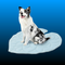 Pet Cooling Mat