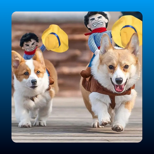 Bullfighter Rider Pet Costume