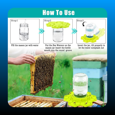 Bee Feeder Silicone Sugar Water Station
