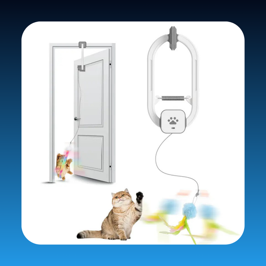 Interactive Electric Cat Teaser