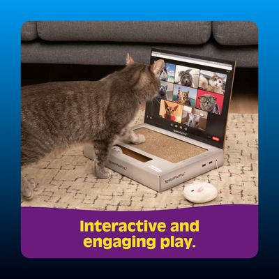 Cardboard Laptop Cat Scratcher