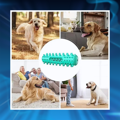 Dog Toothbrush Chew Toy
