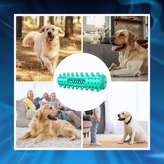 Dog Toothbrush Chew Toy