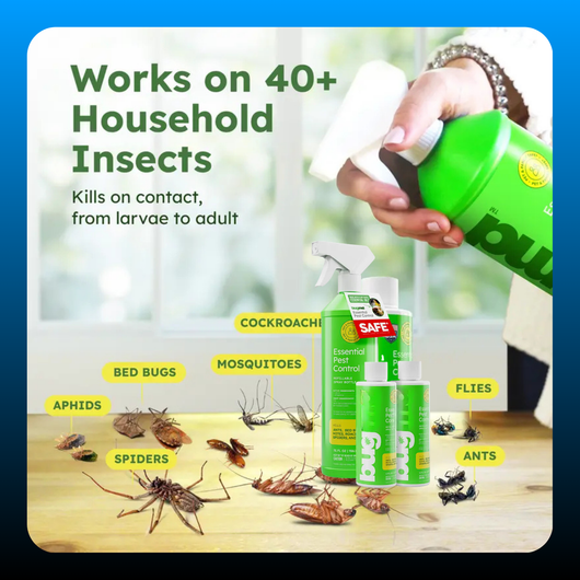 Pest Control Concentrate