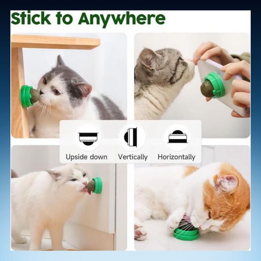 Catnip Licking Toy Balls for Cats (3 Pack)