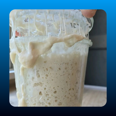 Sourdough Starter Dehydrated
