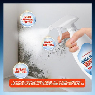 Multi-Surface Mold Remover Spray