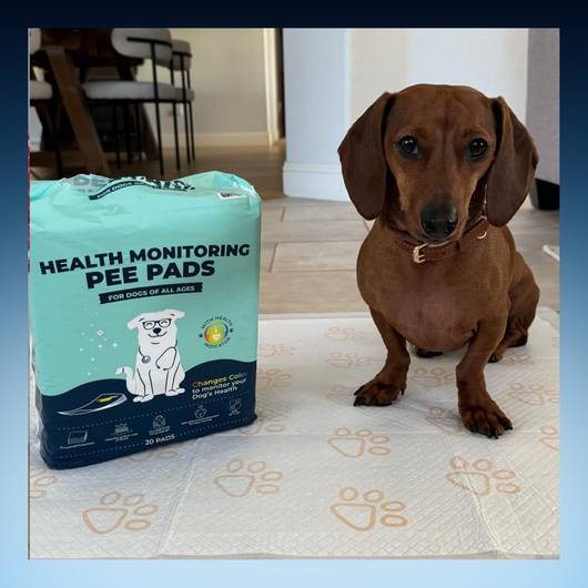 Health Monitoring Pet Pee Pads