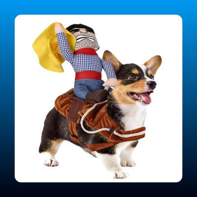 Bullfighter Rider Pet Costume
