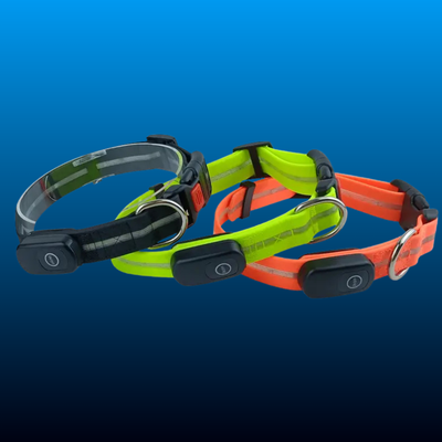 Rechargeable LED Dog Collar