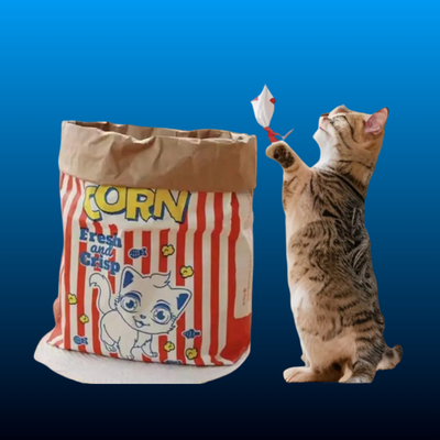 Interactive Popcorn Cat Hide and Seek Toy